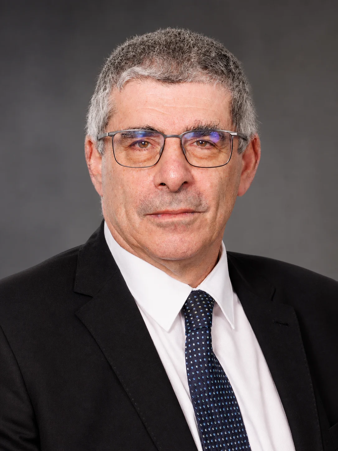 Portrait of Advocate Matthew Chaskalson SC
